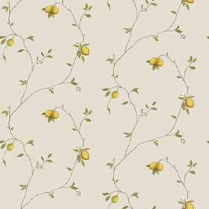 Papel de Parede Kitchen Recipes G12081 | Consultar disponibilidade do Produto |