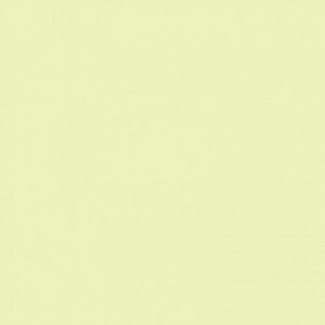 Papel de Parede New Vision SJ10402