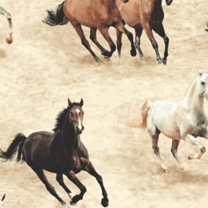Papel de Parede Sahara Nights SK10037