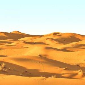 Papel de Parede Sahara Nights SK10048