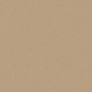 Papel de Parede Vinílico Milano 220230 Liso Tom de Bege escuro “Consultar disponibilidade do Produto 19 9 8750-5835”