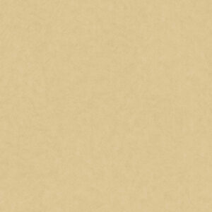Papel de Parede Vinílico Milano 220238 Liso Tom de Bege “Consultar disponibilidade do Produto 19 9 8750-5835”