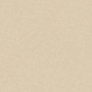 Papel de Parede Vinílico Milano 220239 Liso Tom de Bege “Consultar disponibilidade do Produto 19 9 8750-5835”