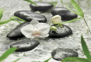 Painel Fotográfico 8-319 Orquídeas Brancas | Consultar disponibilidade do Produto |