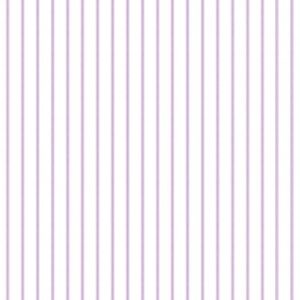 Papel de Parede Line Art Fine Graffic CS66116 “Consultar disponibilidade do Produto 19 9 8750-5835”