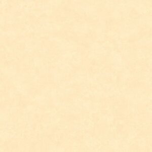 Papel de Parede Moda em Casa 2 MD700404R