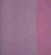 Papel de Parede Vinilico Rosa - Bandeira - Cl-200