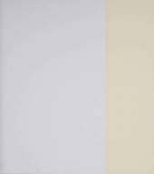 PAPEL DE PAREDE VINILICO AMARELO - BANDEIRA - CL-201