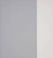 Papel de Parede Vinilico Cinza e Branco - Bandeira - Cl-202