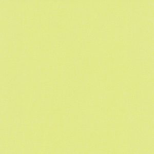 Papel de Parede Infantil Dieter Kid'z 05497-80