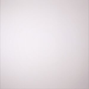 Papel de Parede Vinílico Twiggy TWG51163903 | Consultar disponibilidade do Produto |
