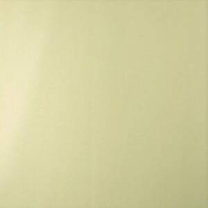 Papel de Parede Vinílico Twiggy TWG51177203 | Consultar disponibilidade do Produto |