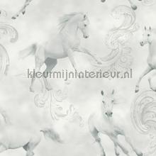 Papel de Parede Infantil Imagine Fun 1 667300