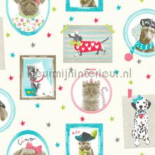 Papel de Parede Infantil Imagine Fun 1 668401