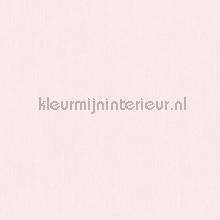 Papel de Parede Infantil Imagine Fun 1 668602