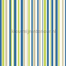 Papel de Parede Infantil Imagine Fun 1 668700