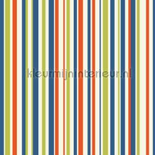 Papel de Parede Infantil Imagine Fun 1 668701