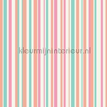 Papel de Parede Infantil Imagine Fun 1 668800