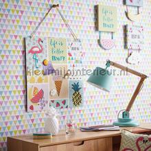 Papel de Parede Infantil Imagine Fun 2 696005