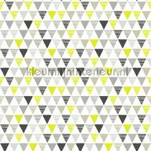 Papel de Parede Infantil Imagine Fun 2 696006