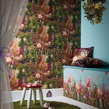 Papel de Parede Infantil Imagine Fun 2 696009