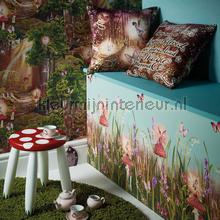 Papel de Parede Infantil Imagine Fun 2 696301