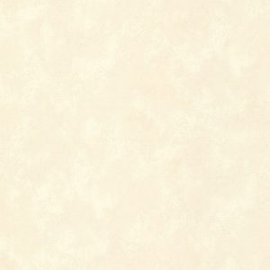 Papel de Parede Runway 482-31201