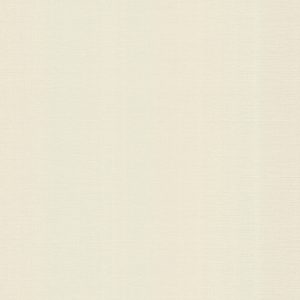 Papel de Parede Runway 482 DL31101