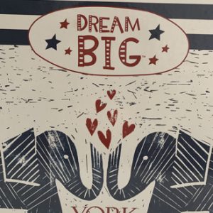 Album Dream Big | Infantil