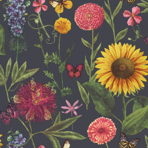 Album Bloom