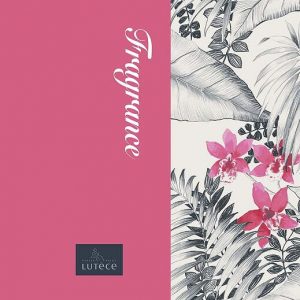 Album Fragrance