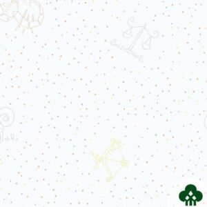Papel de Parede Infantil Angel Baby DF370205 “Consultar disponibilidade do Produto 19 9 8750-5835”