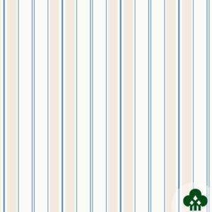 Papel de Parede Infantil Angel Baby DF370901 “Consultar disponibilidade do Produto 19 9 8750-5835”
