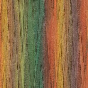 Papel de Parede Rainbow 22650