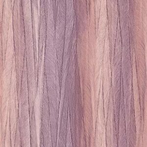 Papel de Parede Rainbow 22654