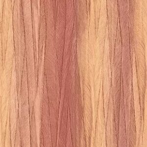 Papel de Parede Rainbow 22655