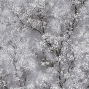 Papel de Parede New Walls 374201