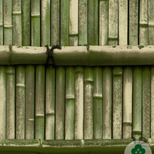Papel de Parede New Element II MT-678004
