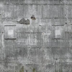Papel de Parede Factory IV 445503 Painel (5,58m x 3,00m) “Consultar disponibilidade do Produto 19 9 8750-5835”