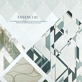 Album Essencial