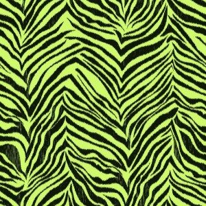Papel de Parede Cool Kids KS2297 “Consultar disponibilidade do Produto 19 9 8750-5835”