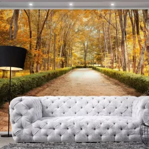 Adesivo de Parede Foto Mural Paisagem Estrada 03 MP | Consultar Prazo de Produção e envio |