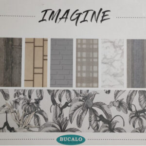 Album Imagine