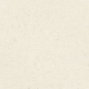 Papel de Parede Concrete 520828 “Consultar disponibilidade do Produto 19 9 8750-5835″