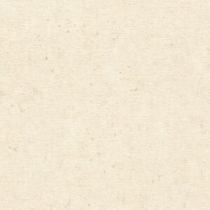 Papel de Parede Concrete 520835 “Consultar disponibilidade do Produto 19 9 8750-5835″