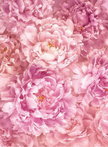 Painel Fotográfico 2-009 Flores Rosa | Consultar disponibilidade do Produto |