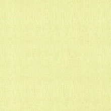 Papel de Parede Chanel 03957-80 “Consultar disponibilidade do Produto 19 9 8750-5835"