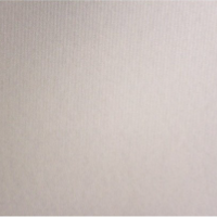 Outlet Premium | Choice SN1108 | Estoque Limitado | 50% Desconto |