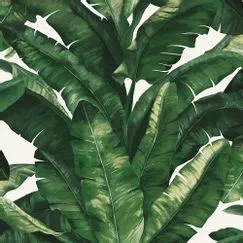 Papel De Parede Unique Un5049 Folhas Verde Com Rosa “Consultar disponibilidade do Produto"