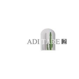 Album Aditare 2